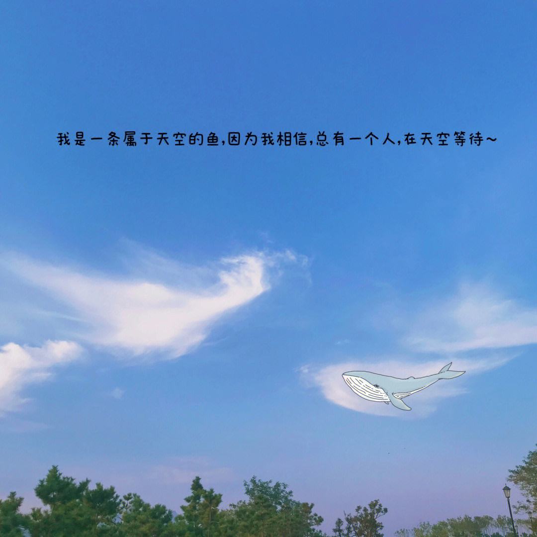 九游体育app下载-关于交易流言汇总：谁是下一个大鱼？的信息