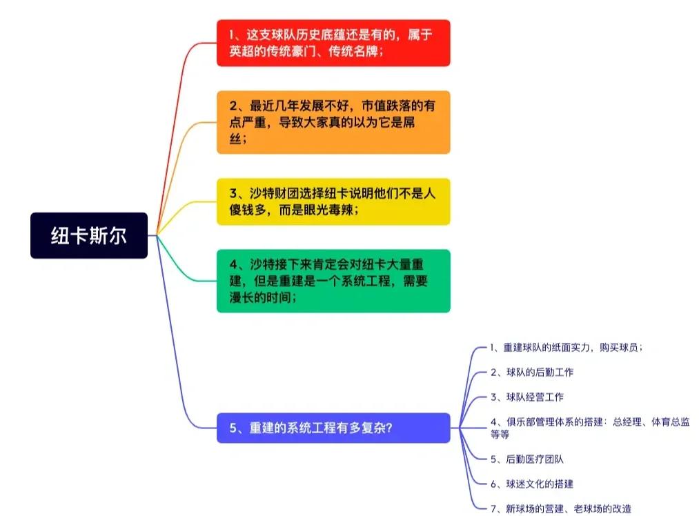九游体育官方-纽卡斯尔联的野心：沙特财团如何打造新豪门？的简单介绍